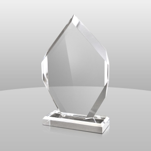 Premium Quality Custom Acrylic Trophy award 