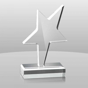Modern Design Custom Acrylic Trophy 