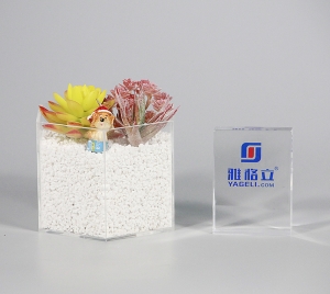 Clear 4 Sides Acrylic Perspex Planter Pot 