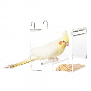 Clear custom acrylic bird cage 