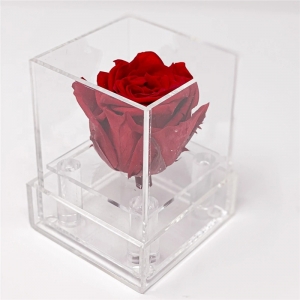 Mini clear acrylic rose box perspex flower case 