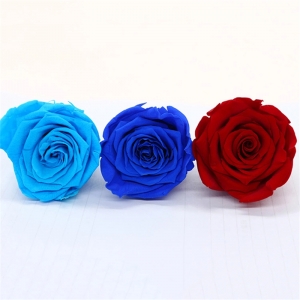 2021 wholesale all sizes everlasting rainbow flower roses head 