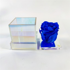 YAGELI rainbow single hole acrylic rose flower box 