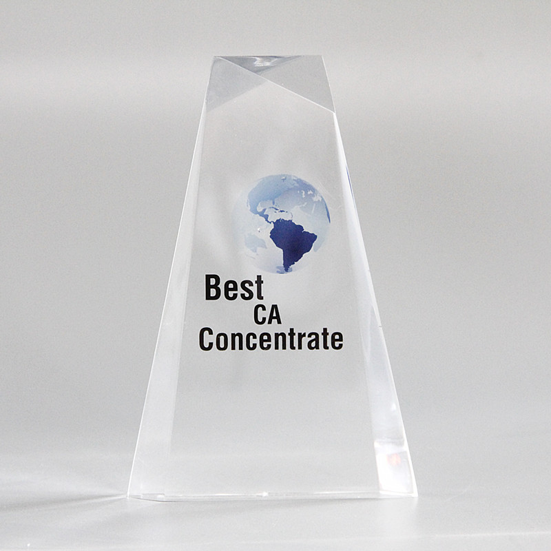Custom Acrylic Trophy