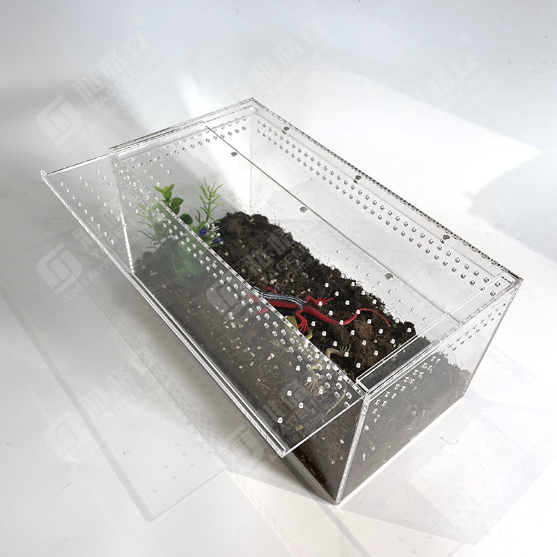 plexiglass terrarium