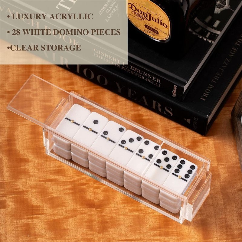 Colorful Acrylic Domino Game Set
