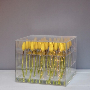 Wholesale Waterproof Acrylic Flower Storage Box Rose Packing Box 