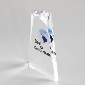Customized Size Luxury Acrylic Trophy 