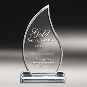 Custom clear acrylic award 