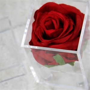 Luxury waterproof mini 1 rose boxes for wedding event 