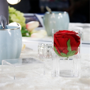 Waterproof mini single hole rose boxes for lovely gift 