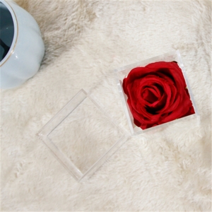 Waterproof mini single hole rose boxes for lovely gift 