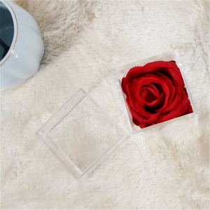 Luxury waterproof mini 1 rose boxes for wedding event 