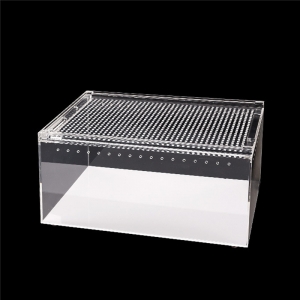 Transparent acrylic reptile display cases 