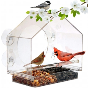 acrylic bird cage