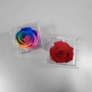 Mini acrylic single flower box case 