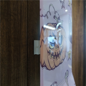 Wholesale wall mounted acrylic lucite skateboards deck 