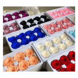 2021 wholesale all sizes everlasting rainbow flower roses head 