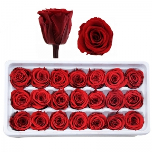 A grade eternal preserved rose flower buds head for wholesale 