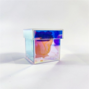 YAGELI rainbow single hole acrylic rose flower box 