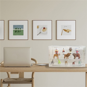 Acrylic Cars Products Table Top Large Coin Ornament Storage Organizer 