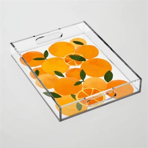 acrylic tray with insert