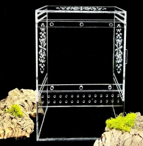 ARBOREAL Enclosure Reptile Terrarium Tarantula Scorpion Cage 