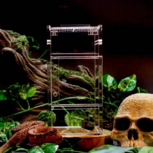 ARBOREAL Enclosure Reptile Terrarium Tarantula Scorpion Cage 