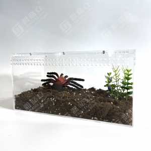 Adult Tarantula reptile Cage enclosures Habitats tank 