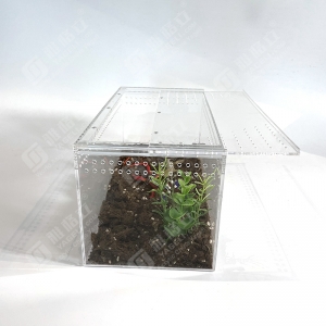 Adult Tarantula reptile Cage enclosures Habitats tank 