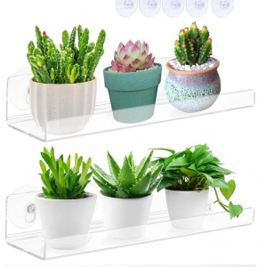 Strong Suction Cup acrylic Window Planter Shelves box 