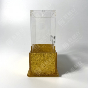 Acrylic Judaica gold glitter lucite Charity Money Box 