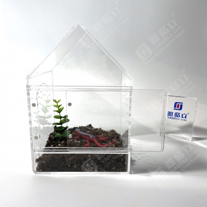 Tarantula Enclosures cubes house 