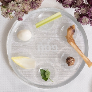 Acrylic Judaica Modern Passover Seder Plate 