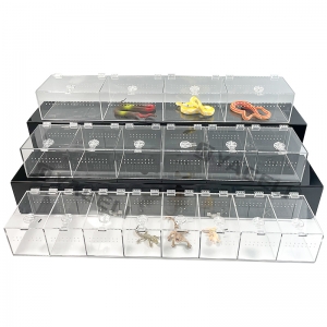 factory wholesale acrylic snake enclosure 