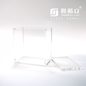 Eliter Trainer Box Acrylic Display Case 