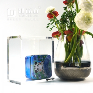 Eliter Trainer Box Acrylic Display Case 