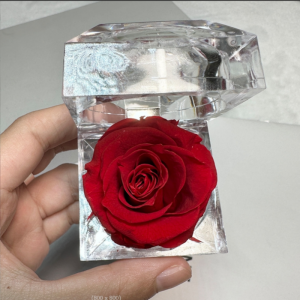 empty acrylic rose box