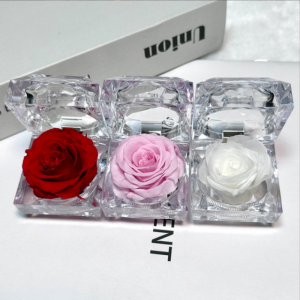 Wholesale Preserved Rose Acrylic Gift Box 