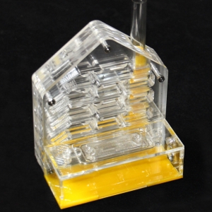 Clear Acrylic Ant Nests Villa House 