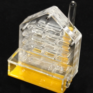 Clear Acrylic Ant Nests Villa House 