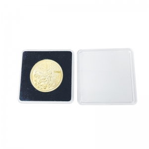 Acrylic Coin Display Protector