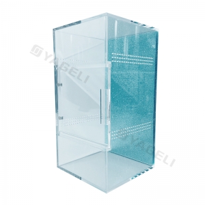 Bioactive Jumping Spider Enclosures