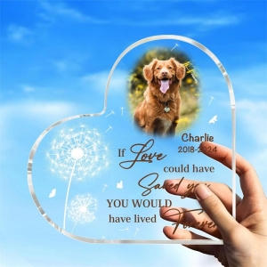 Heart Shaped Decorative Acrylic Pet Plaque for Living Room 