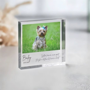 OEM Acrylic photo frame block gifts for anniversaries 