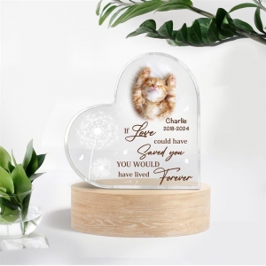 Thick Acrylic Heart Photo Block