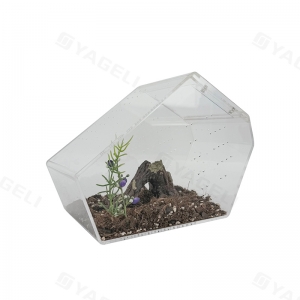 coffin jumping spider enclosure