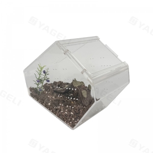 Acrylic Coffin Crib Jumping Spider Terrarium 
