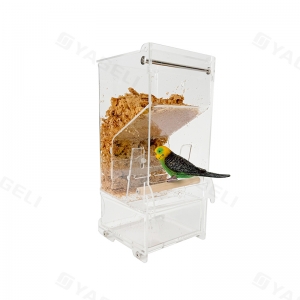 Best acrylic bird feeder