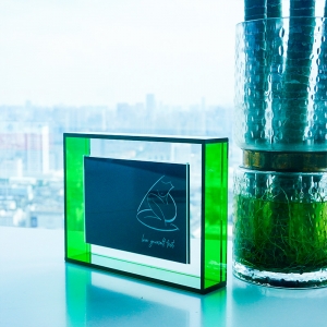 Custom Acrylic Frame